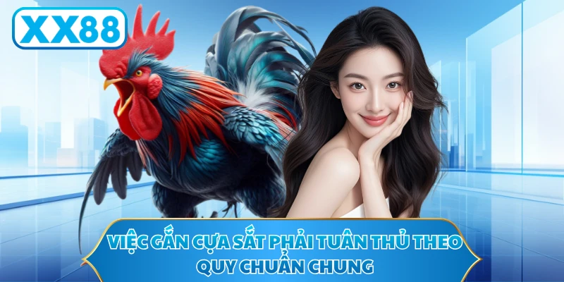 Việc gắn cựa sắt phải tuân thủ theo quy chuẩn chung